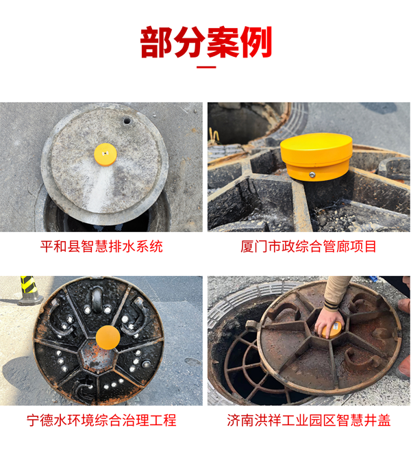 井蓋液位傳感器 EN100-A(圖13) 井蓋液位傳感器 EN100-A(圖13)